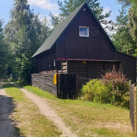 Domki Nad Jeziorem, Las, Do 10 Osob Jezioro Wilczynskie Budzislawskie - Domek Letniskowy Osobno Ogrodzony, Ogrzewany Mile Widziane Pieski, Zwierzeta- Wielkopolska, 62-550 Zygmuntowo Gm Wilczyn 외부 사진