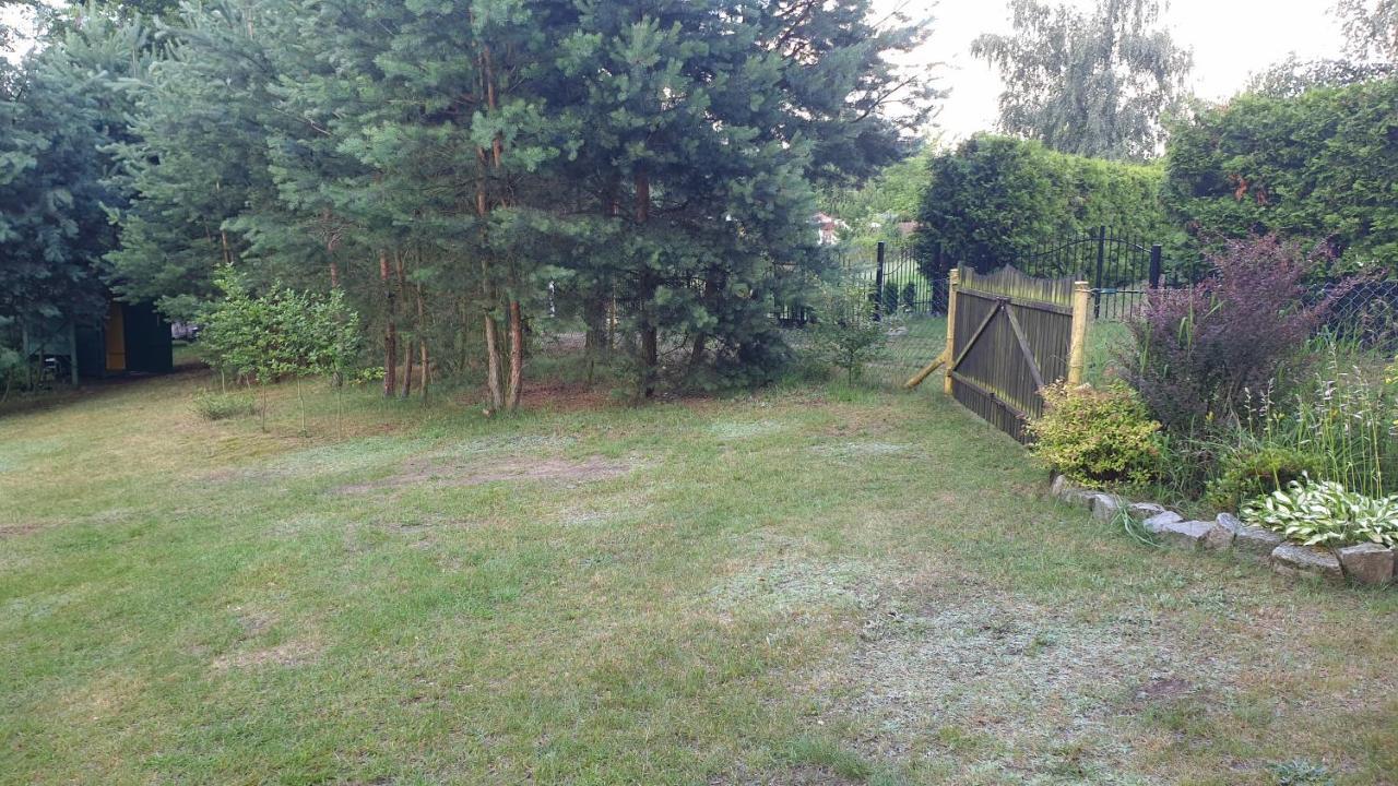 Domki Nad Jeziorem, Las, Do 10 Osob Jezioro Wilczynskie Budzislawskie - Domek Letniskowy Osobno Ogrodzony, Ogrzewany Mile Widziane Pieski, Zwierzeta- Wielkopolska, 62-550 Zygmuntowo Gm Wilczyn 외부 사진