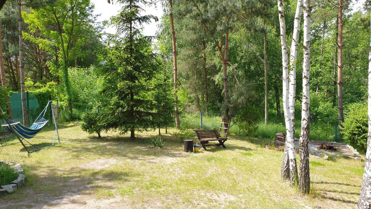 Domki Nad Jeziorem, Las, Do 10 Osob Jezioro Wilczynskie Budzislawskie - Domek Letniskowy Osobno Ogrodzony, Ogrzewany Mile Widziane Pieski, Zwierzeta- Wielkopolska, 62-550 Zygmuntowo Gm Wilczyn 외부 사진