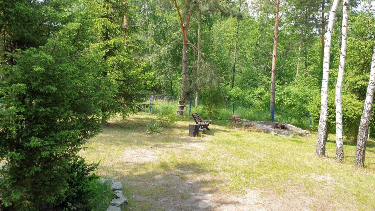 Domki Nad Jeziorem, Las, Do 10 Osob Jezioro Wilczynskie Budzislawskie - Domek Letniskowy Osobno Ogrodzony, Ogrzewany Mile Widziane Pieski, Zwierzeta- Wielkopolska, 62-550 Zygmuntowo Gm Wilczyn 외부 사진