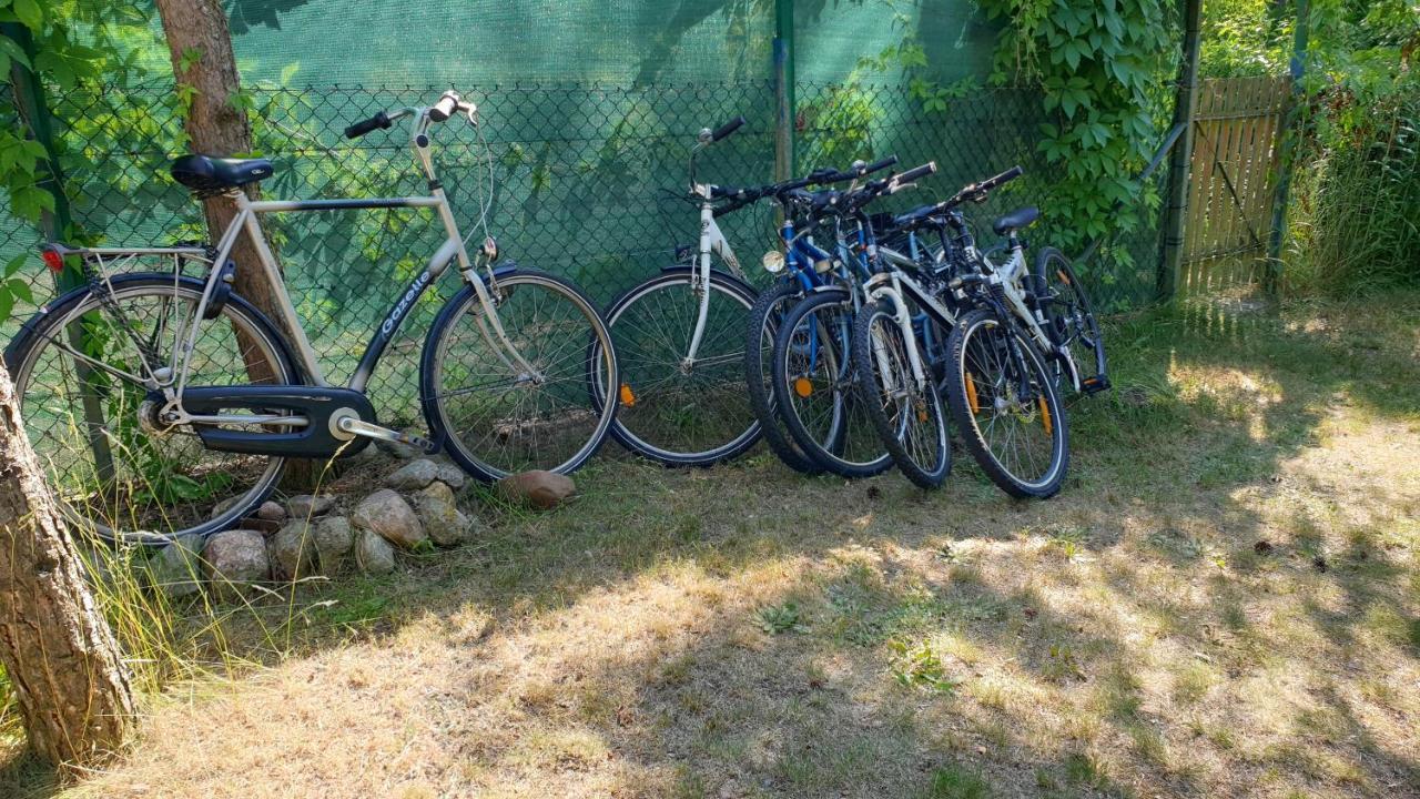 Domki Nad Jeziorem, Las, Do 10 Osob Jezioro Wilczynskie Budzislawskie - Domek Letniskowy Osobno Ogrodzony, Ogrzewany Mile Widziane Pieski, Zwierzeta- Wielkopolska, 62-550 Zygmuntowo Gm Wilczyn 외부 사진