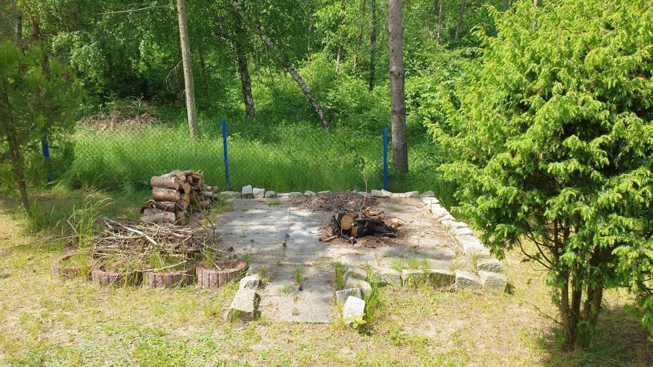 Domki Nad Jeziorem, Las, Do 10 Osob Jezioro Wilczynskie Budzislawskie - Domek Letniskowy Osobno Ogrodzony, Ogrzewany Mile Widziane Pieski, Zwierzeta- Wielkopolska, 62-550 Zygmuntowo Gm Wilczyn 외부 사진