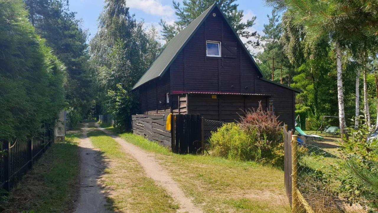Domki Nad Jeziorem, Las, Do 10 Osob Jezioro Wilczynskie Budzislawskie - Domek Letniskowy Osobno Ogrodzony, Ogrzewany Mile Widziane Pieski, Zwierzeta- Wielkopolska, 62-550 Zygmuntowo Gm Wilczyn 외부 사진